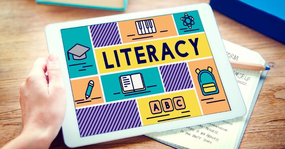 Data Literacy Development Principles for Individuals and Communities